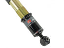 Skunk2 Pro-ST Coilovers - 06-11 Honda Civic Si - 541-05-8750