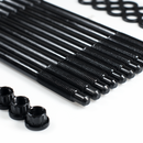 Skunk2 Pro Series Head Stud Kit Black - Honda B16/B17/B18/K20/K24 - 661-05-0001