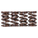 Skunk2 Pro XP Valve Spring Set - Honda B Series VTEC - 311-05-7350