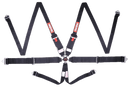 RaceQuip Camlock 6 Point HANS Harness Set - Black - 3 in. Lap - 3 in. to 2 in. Shoulder - 2 in. Sub - 747007