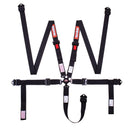 RaceQuip Camlock 5 Point Harness Set - Black - 2 in. Belts - 841001