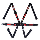RaceQuip FIA 6 Point Camlock Harness Set - Black - 2 in.Â Lap and 2 in. Shoulders (for Hans/FHR) - 857007