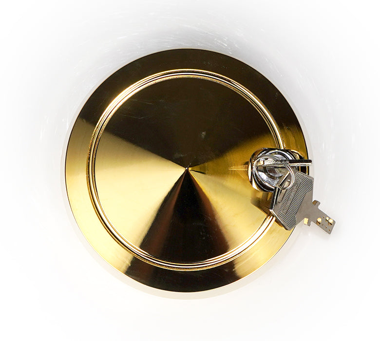 NRG Quick Lock W/ Free Spin Chrome Gold - SRK-201C/GD