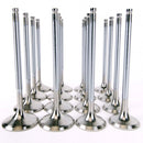 Skunk2 Alpha Series 35mm/30mm Standard Compression Valve Set - Honda H22A VTEC - 310-05-1400
