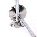 Skunk2 Alpha Series 35mm/30mm Standard Compression Valve Set - Honda H22A VTEC - 310-05-1400