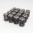 Skunk2 Alpha Series Valve Spring and Titanium Retainer Kit - Honda B-Series VTEC  - 344-05-1300