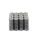 Skunk2 Alpha Series Valve Spring and Titanium Retainer Kit - Honda D16 VTEC - 344-05-1350