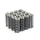 Skunk2 Alpha Series Valve Spring and Titanium Retainer Kit - Honda D16 VTEC - 344-05-1350