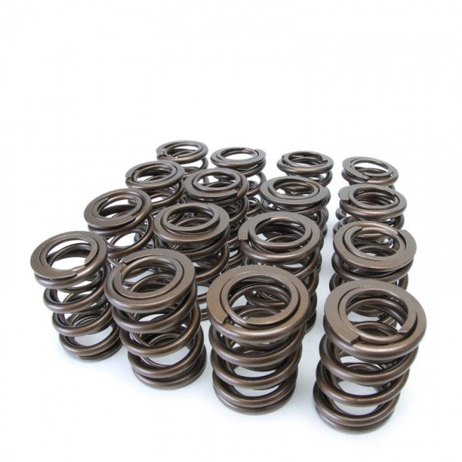 Skunk2 Alpha Series Valve Spring Set - Honda H22A VTEC - 311-05-1360