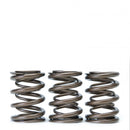 Skunk2 Alpha Series Valve Spring Set - Honda H22A VTEC - 311-05-1360