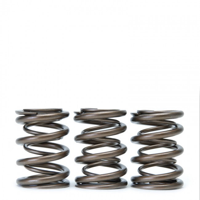 Skunk2 Alpha Series Valve Spring Set - Honda B Series VTEC - 311-05-1350