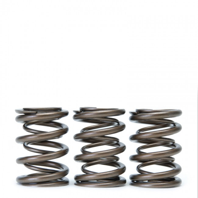 Skunk2 Alpha Series Valve Spring Set - Honda H22A VTEC - 311-05-1360