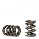 Skunk2 Alpha Series Valve Spring Set - Honda K-Series - 311-05-1380