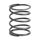 Acuity Instruments K-Series Transmission Performance Select Springs - Most K-Series Honda - 1887