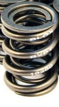 Blox Racing Performance Valve Spring *SINGLE* - B16A - B18C1/5 - BXPT-10300-SP